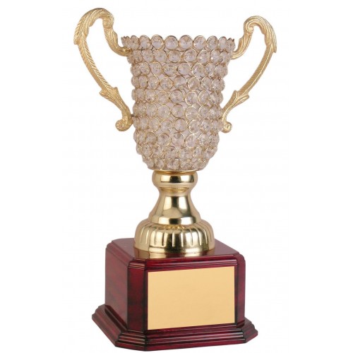 OUR TROPHIES